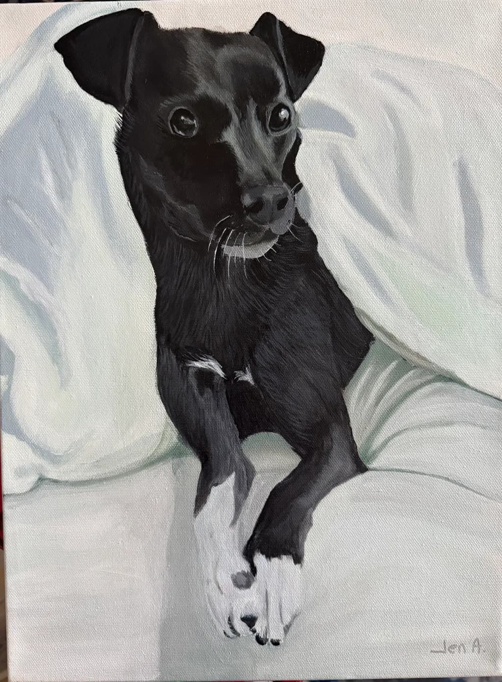 Whiskered Serenity: A Portrait of a Black Dog in Cozy Comfort