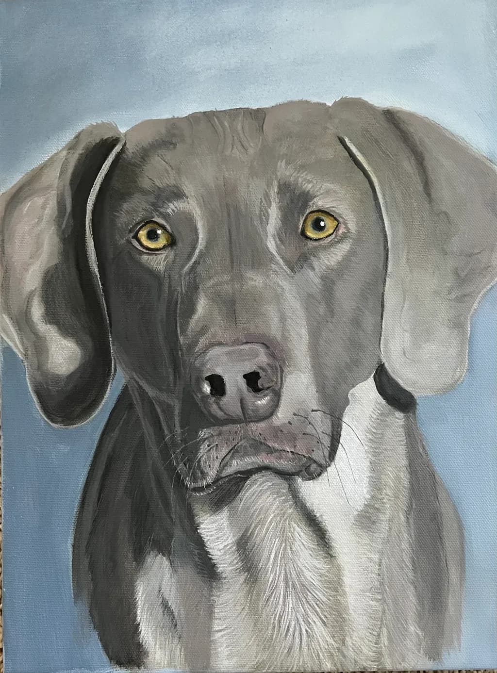 Whispers of Loyalty: A Realistic Portrait of a Gray Dog