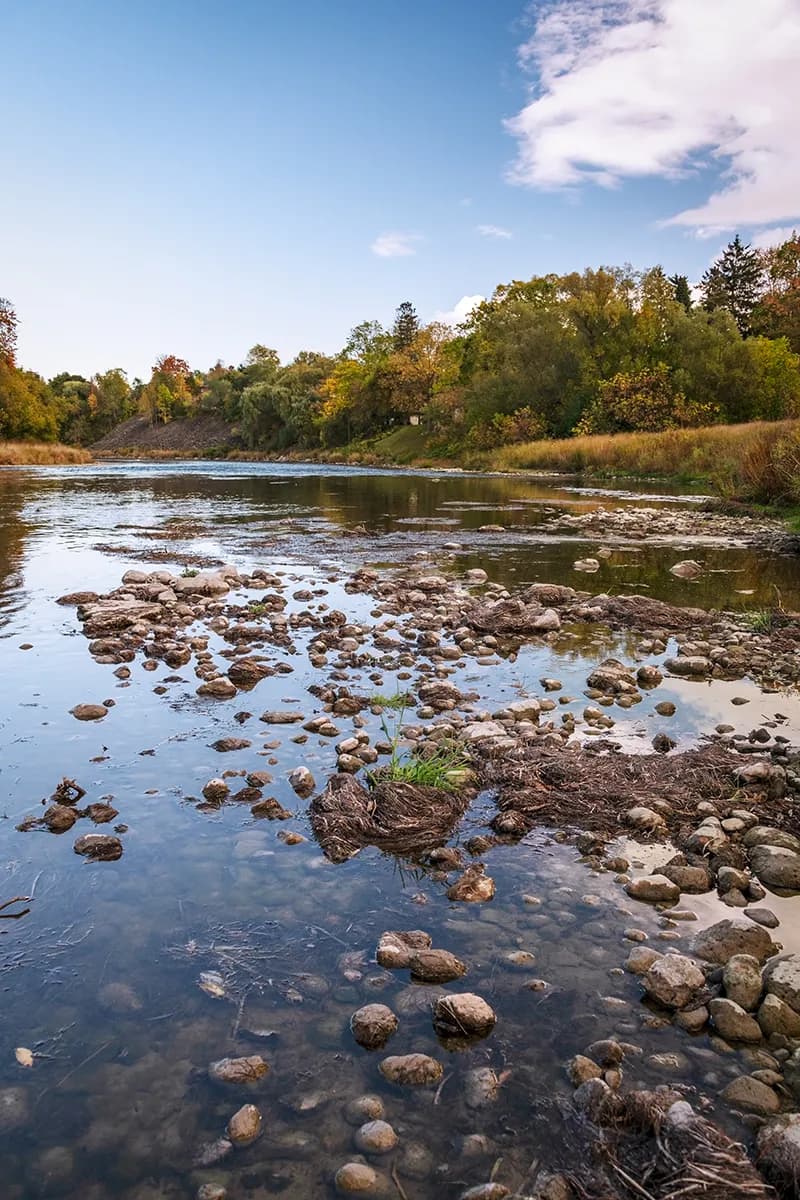 Serenity by the Riverbank: A Tranquil Autumn Reflection in Nature's Embrace