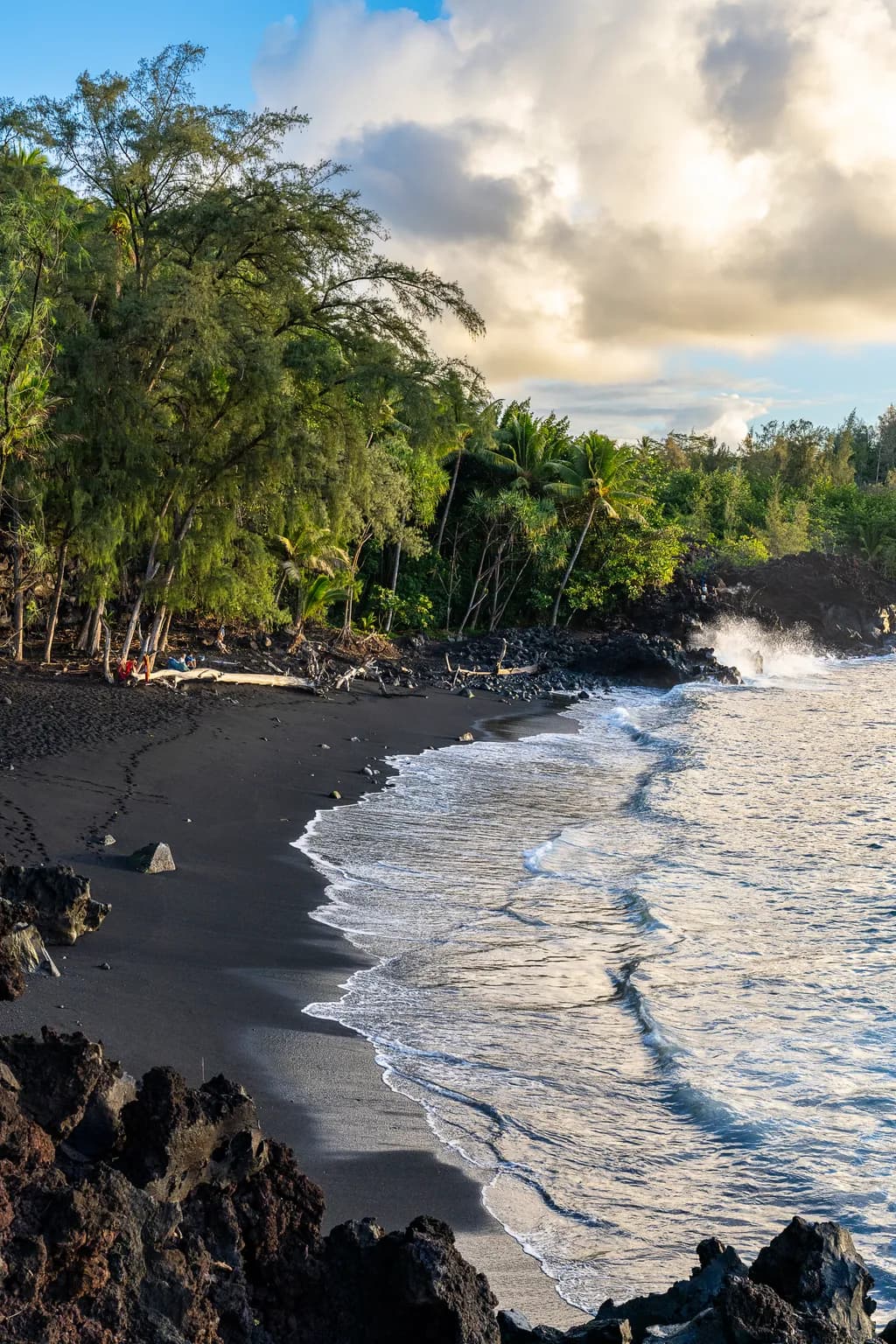 Black Sand Coastline