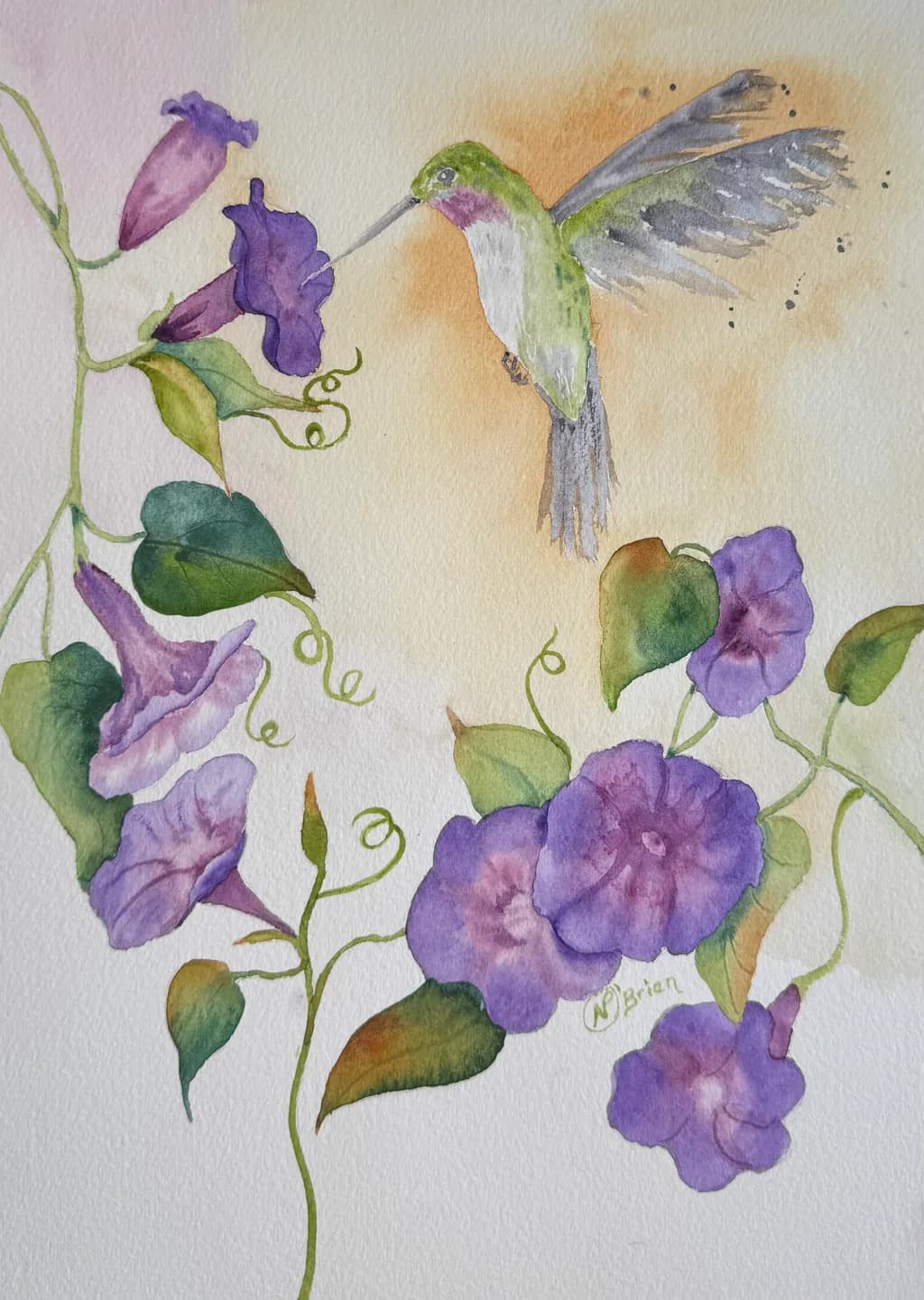 Hummingbird Among Morning Glories