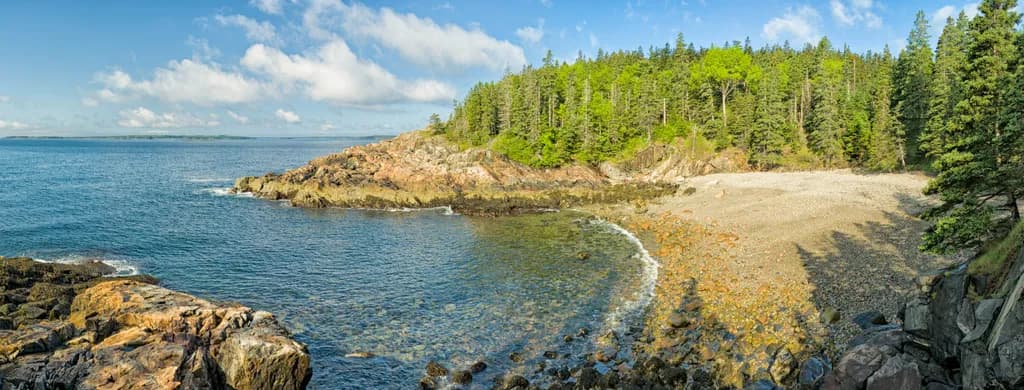 Serenity by the Shore: A Tranquil Forest Meets the Coastal Waterscape