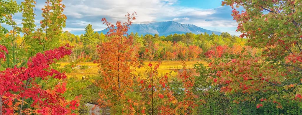 Autumn's Embrace: A Vibrant Tapestry of Colorful Foliage and Majestic Mountains