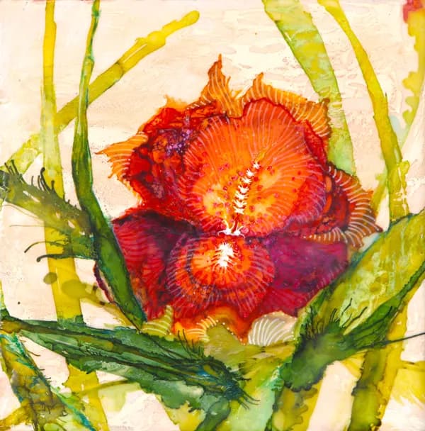 Radiant Bloom: A Dance of Color and Nature's Elegance