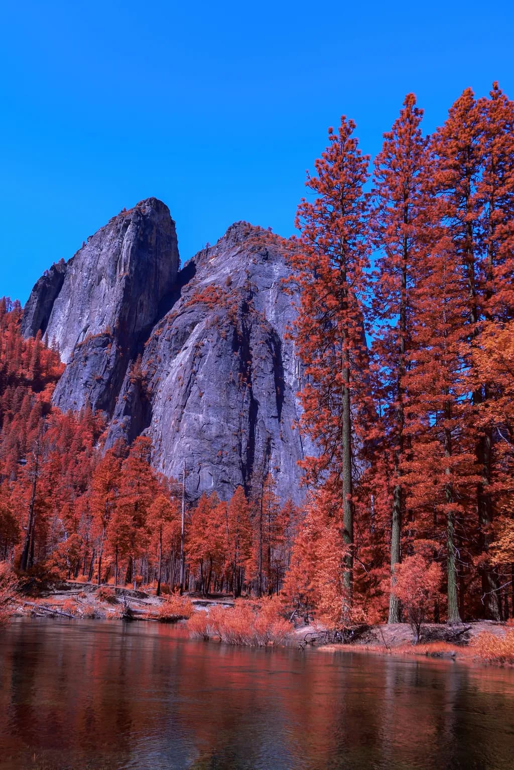 Crimson Pines Ridge