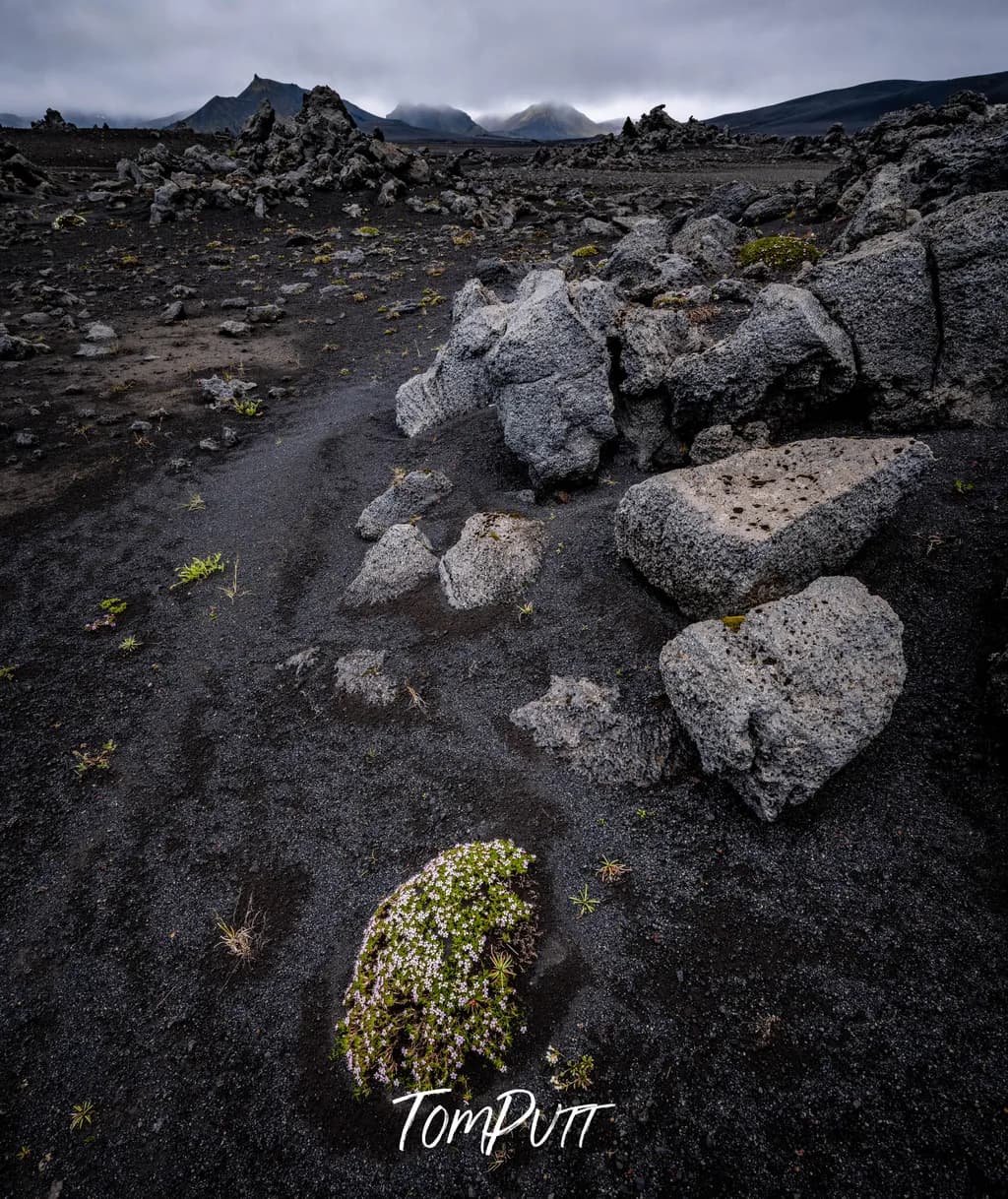 Iceland Highlands