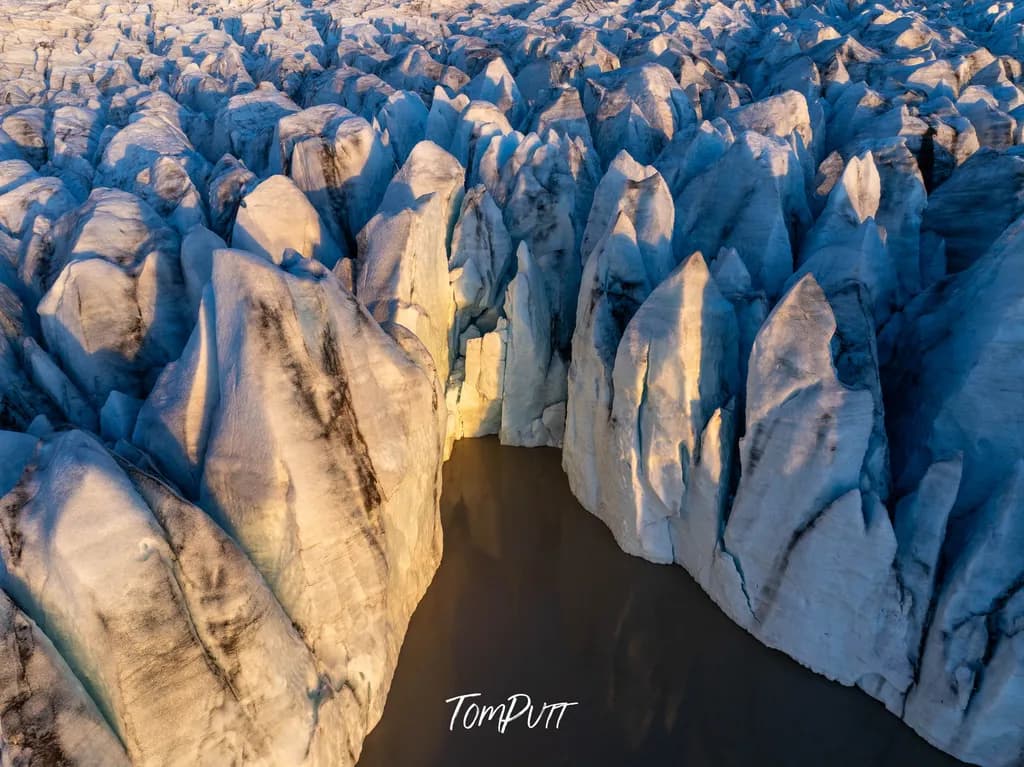 Icy Sentinels 