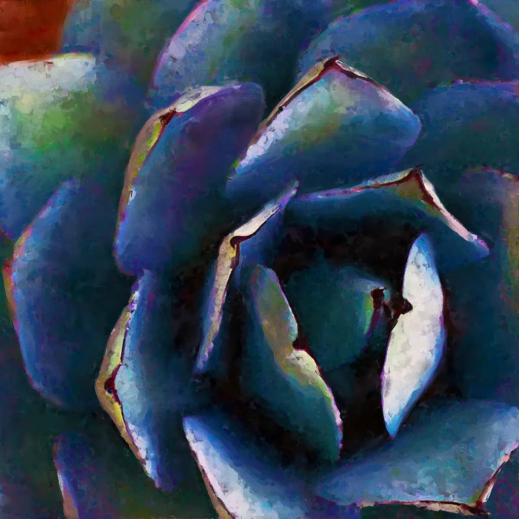 Whispers of Color: A Close-Up Journey into the Heart of a Succulent Blossom