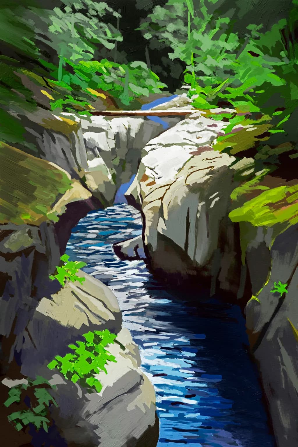 Mount Rainier Stream