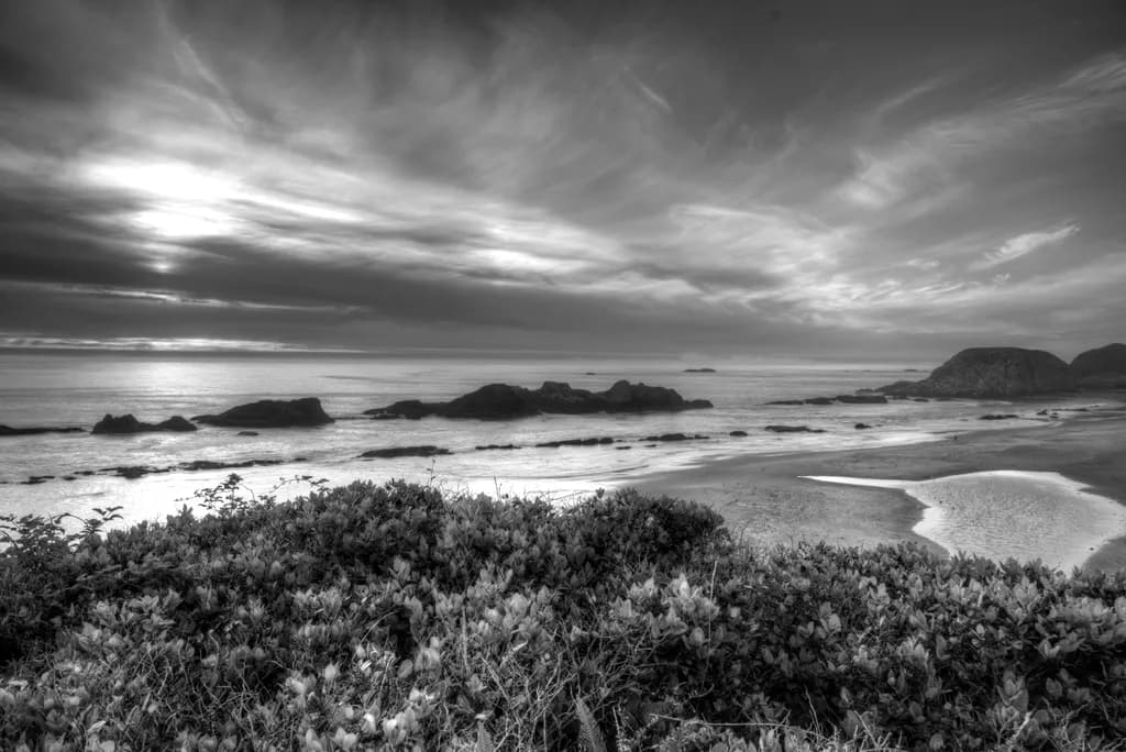 Whispers of the Ocean: A Serene Black and White Coastal Landscape