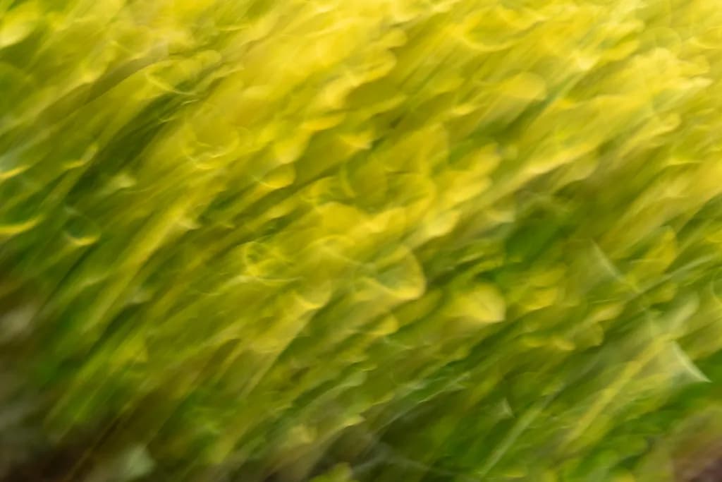 Flowing Greens