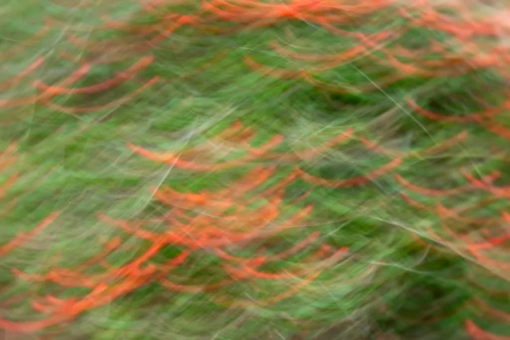 Flowing Ember Green