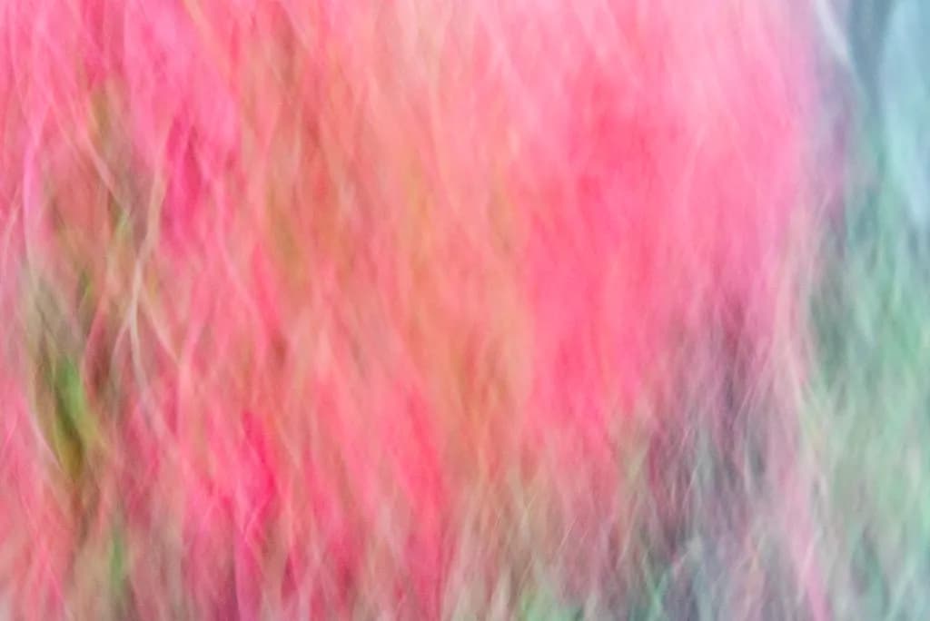 Outdoors Blur