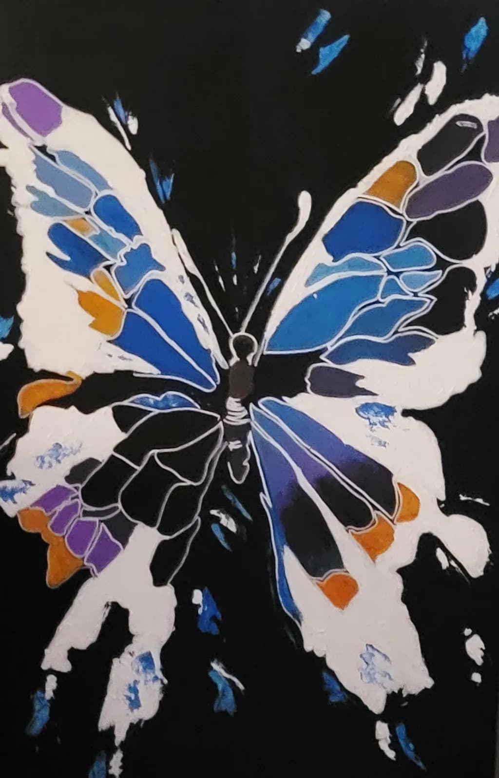 Colorful Butterfly