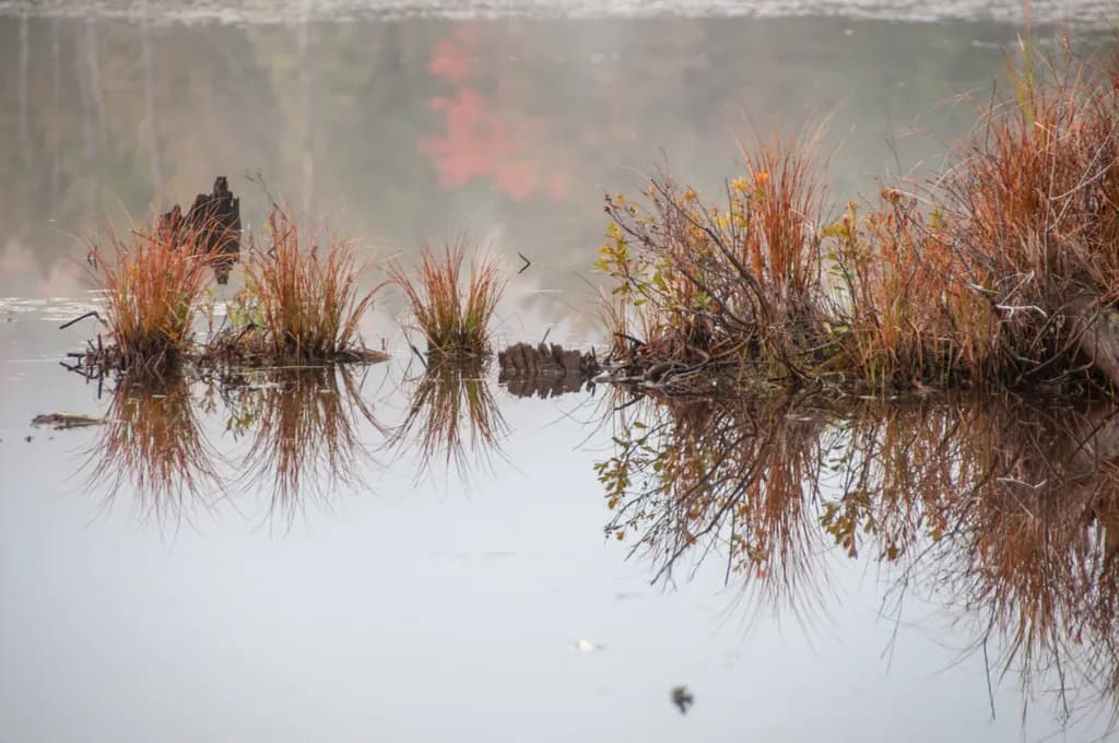 Misty Symmetry and Quiet Solitude, Adirondack State Park, NY