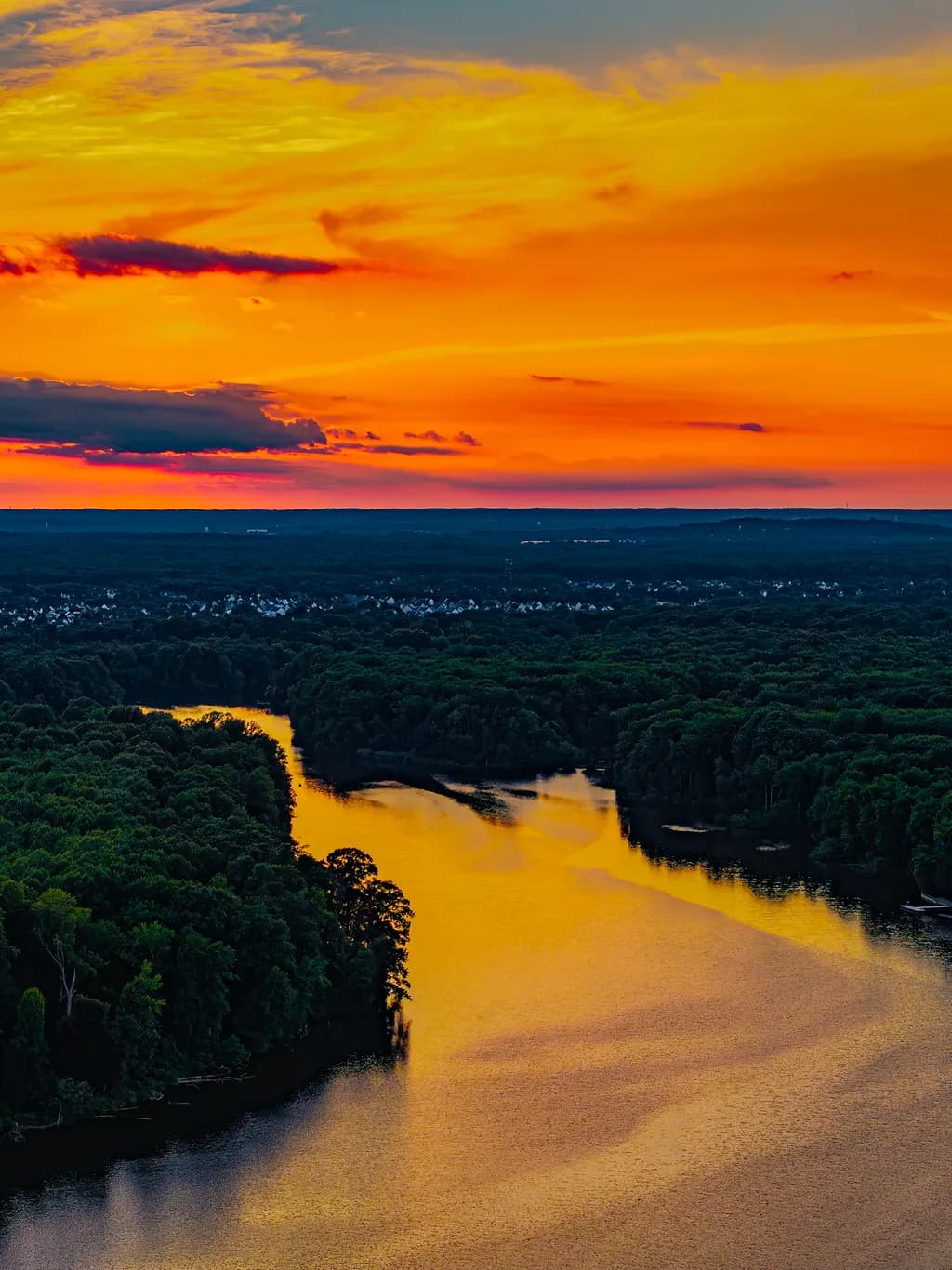 Sunset River Forest
