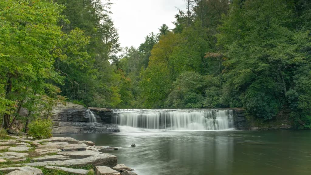 Whispers of Serenity: A Tranquil Forest Waterfall Escape