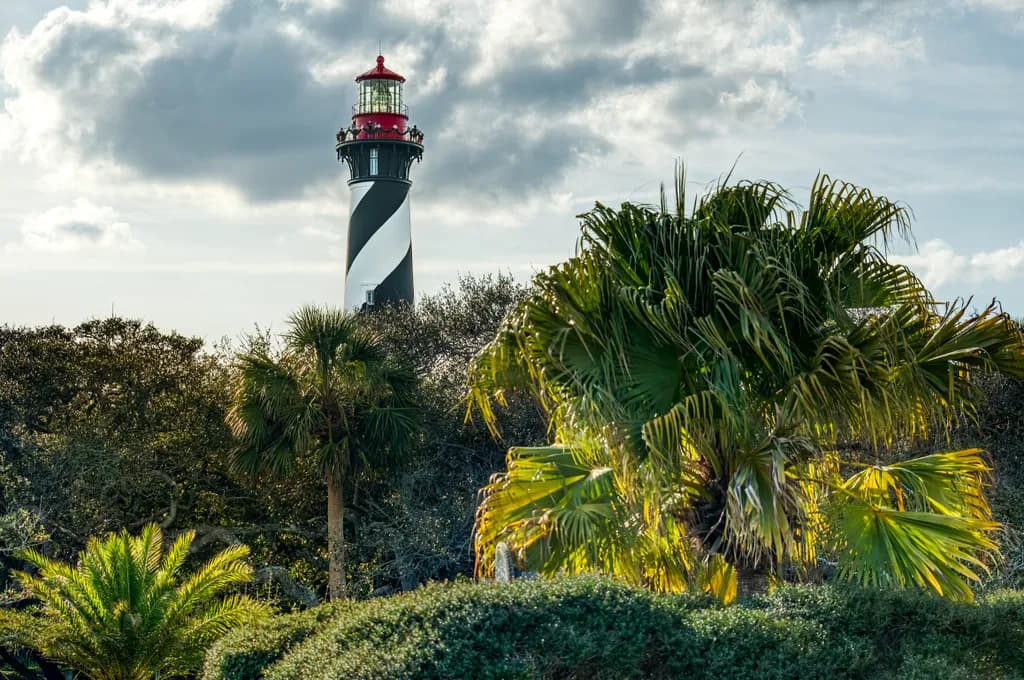 Guiding Light Among Palms