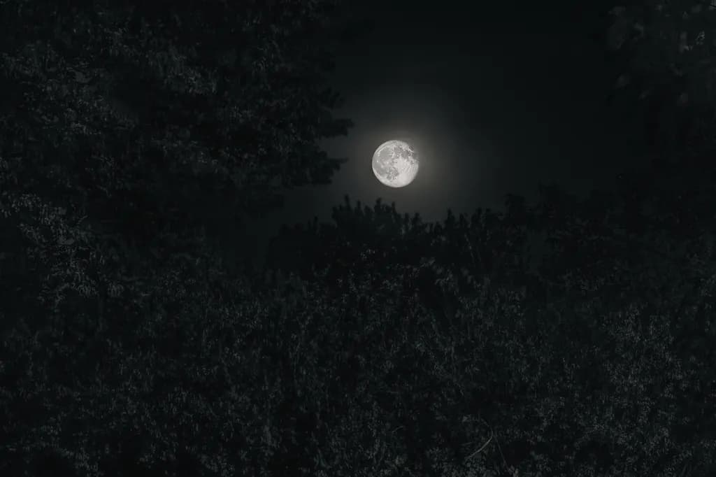 The Watcher Above
