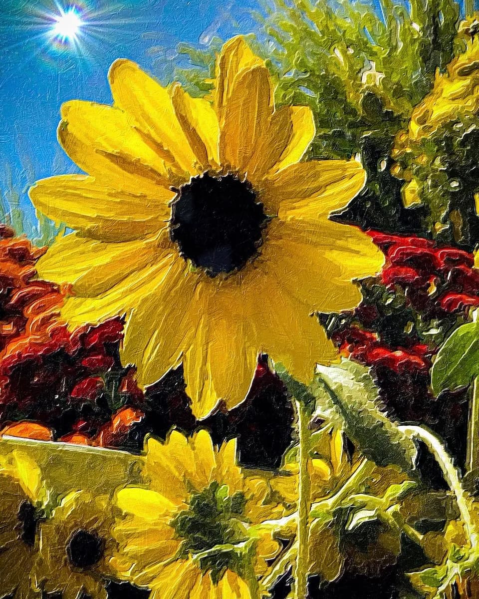 Sunflower Series