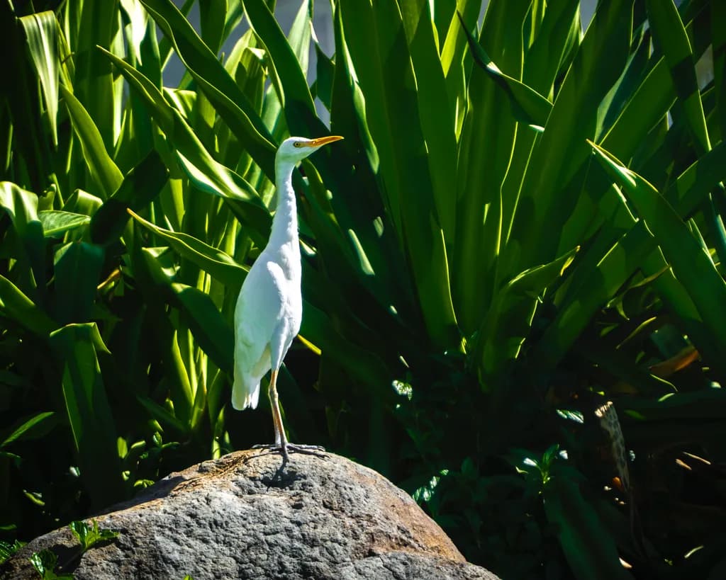 On Watch