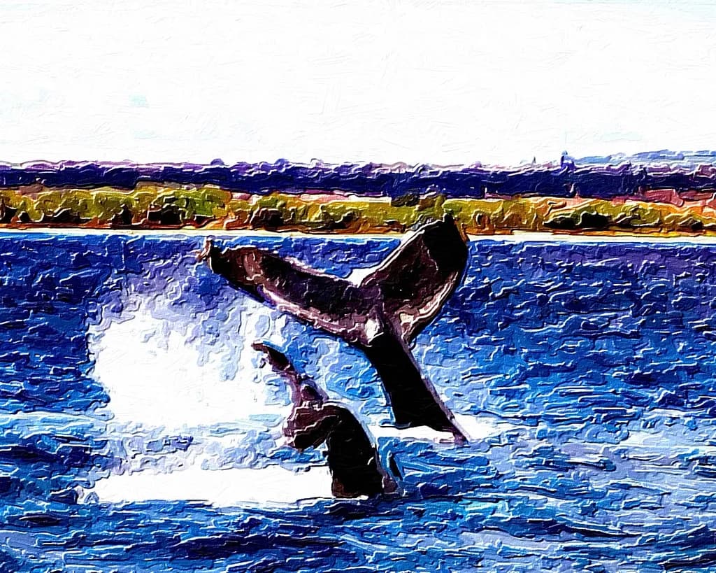 Whales in Motion