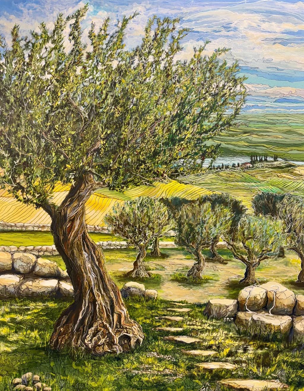 Whispers of the Olive Grove: A Serene Landscape of Nature's Embrace