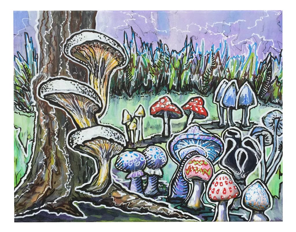 Magic Mushrooms