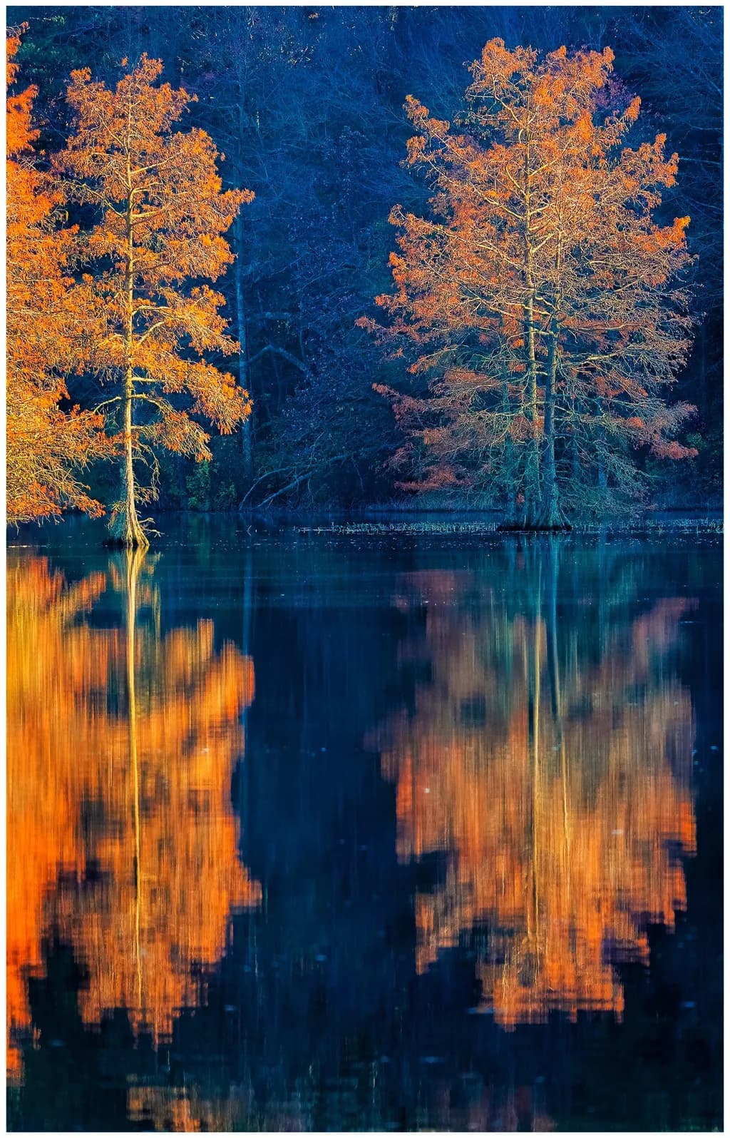 Scene 6 Trees Reflection