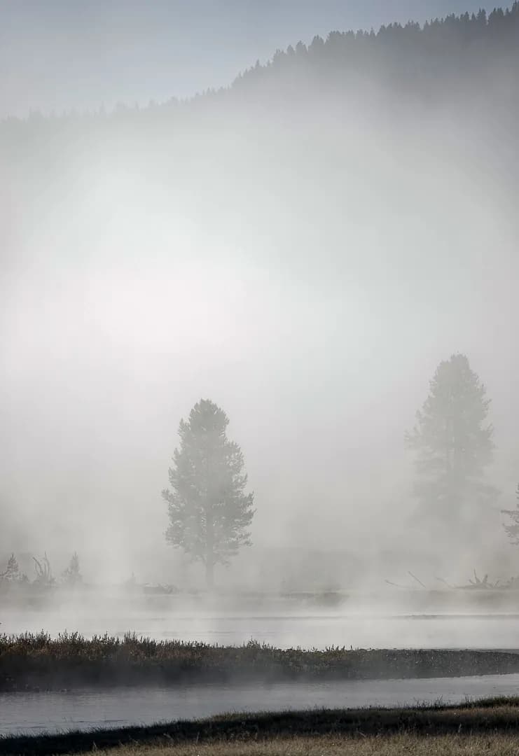 Foggy Morn