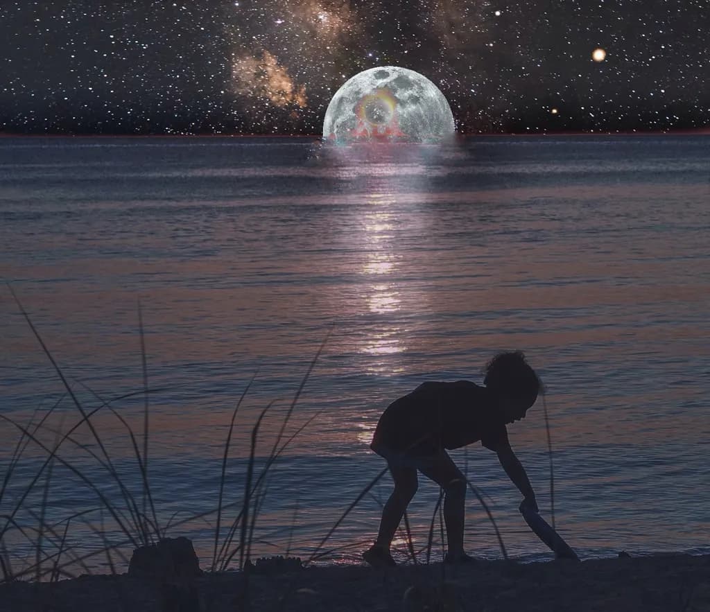 Cosmic Exploration