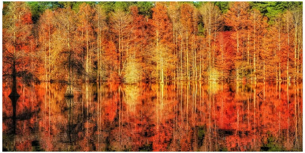 Autumn Reflections