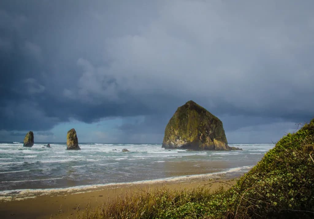Coastal Majesty