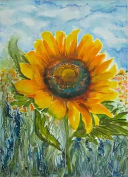 Golden Light on Sunflower