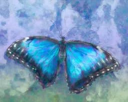 Blue Morpho in Flight