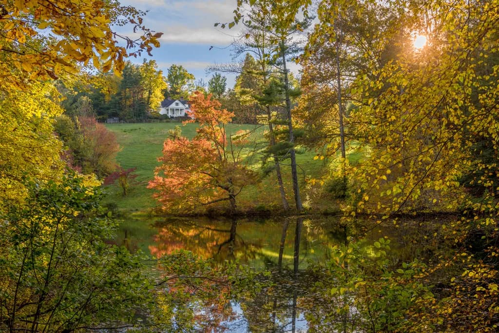 Autumn Reflections