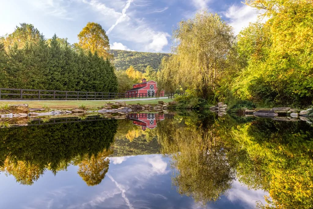 Autumn Reflection