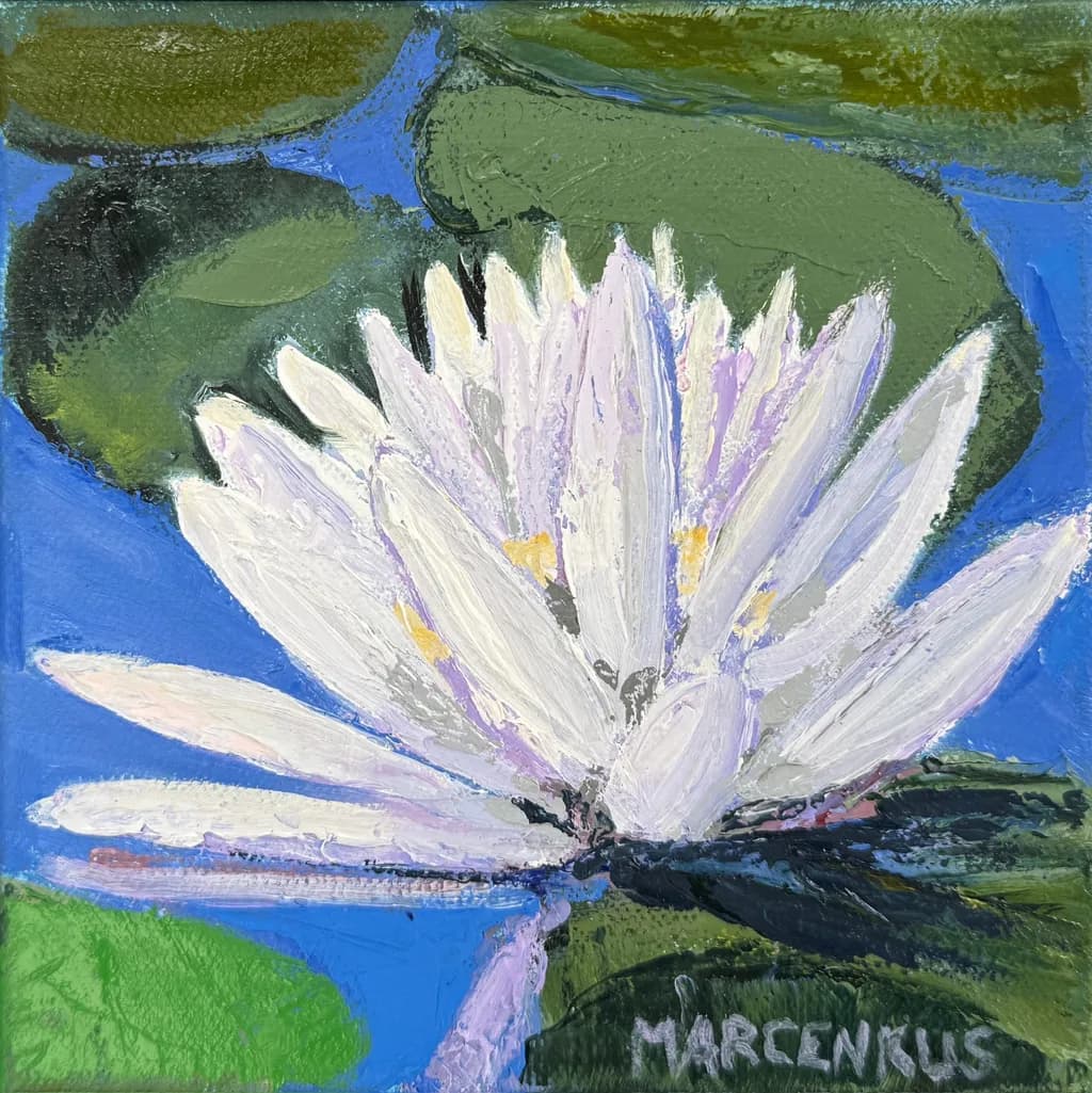Lotus in Bloom
