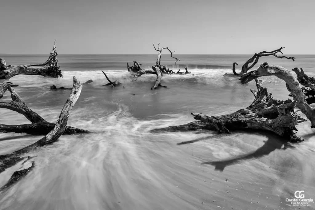 Driftwood Flow