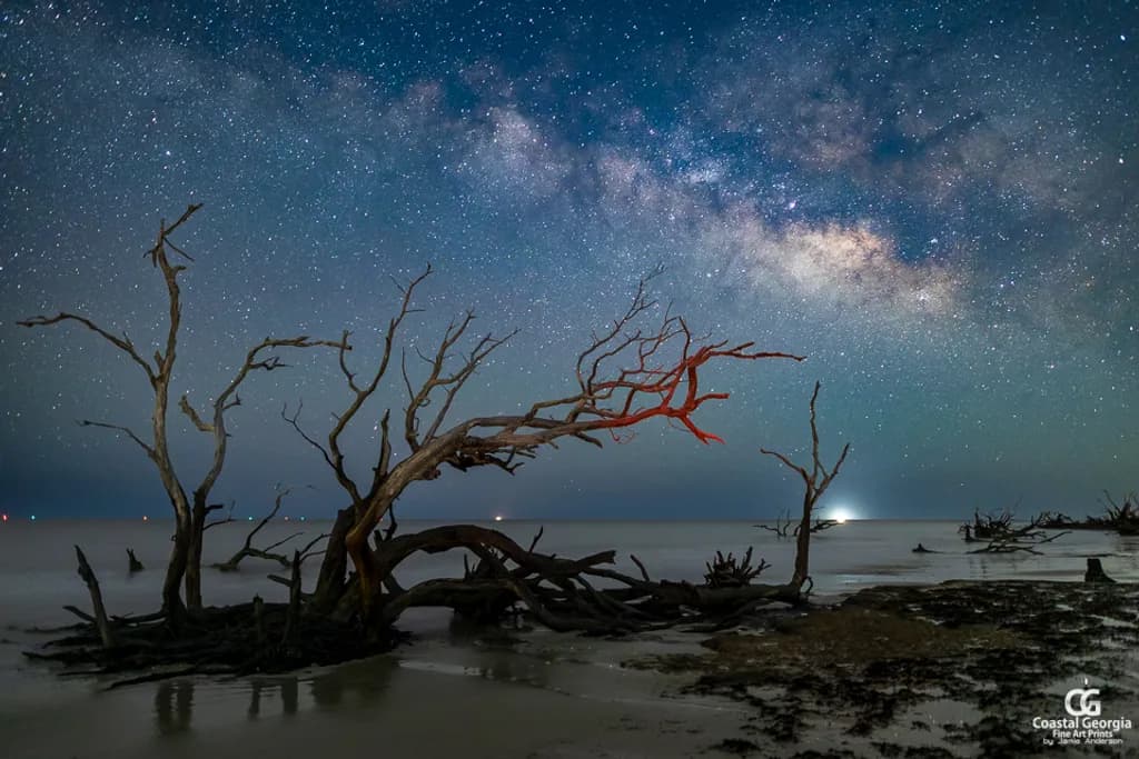 Milky Way Driftwood