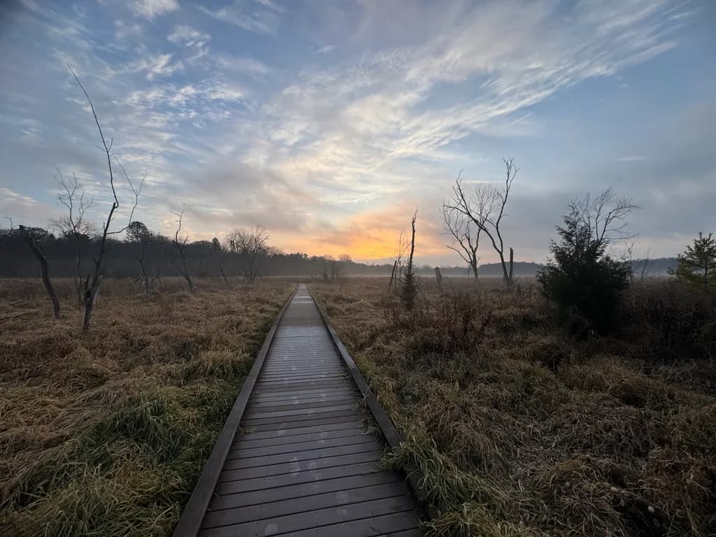 Morning Pathway