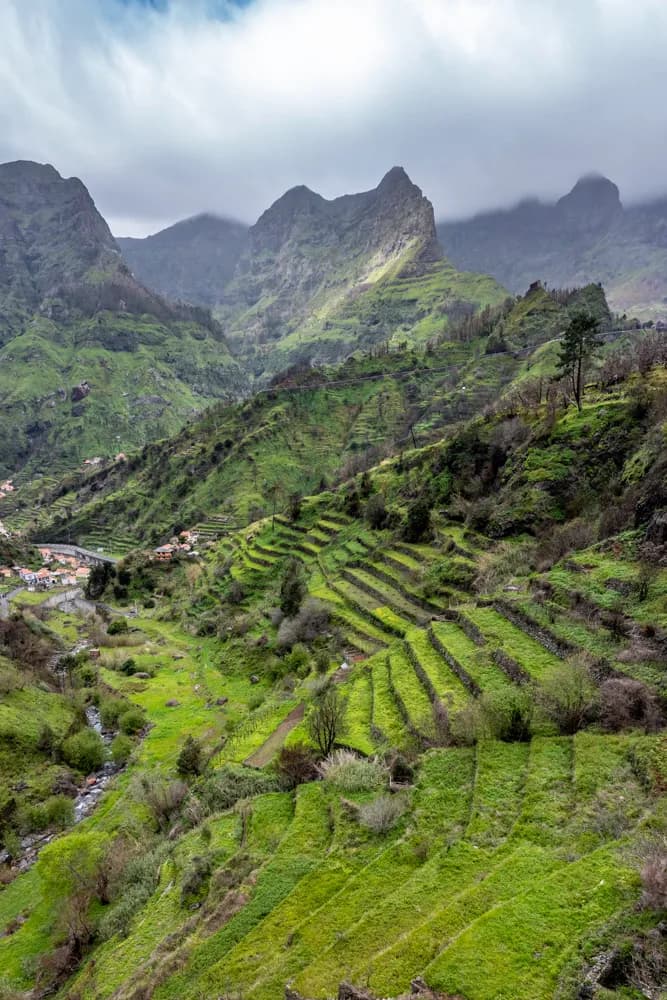 Whispers of the Mountains: A Lush Landscape of Terraced Greenery and Clouds
