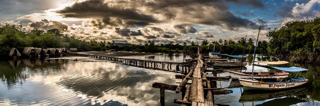 Whispers of the Waterway: A Journey Through Nature's Canvas