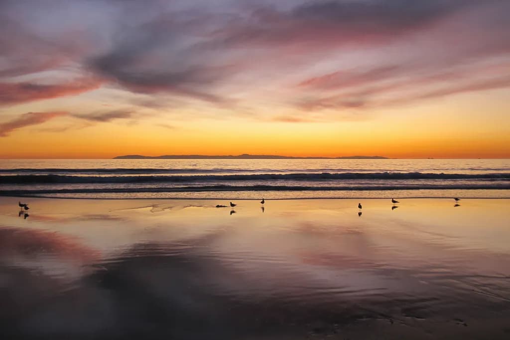 Whispers of the Ocean: A Sunset Dance with Seagulls on the Shoreline