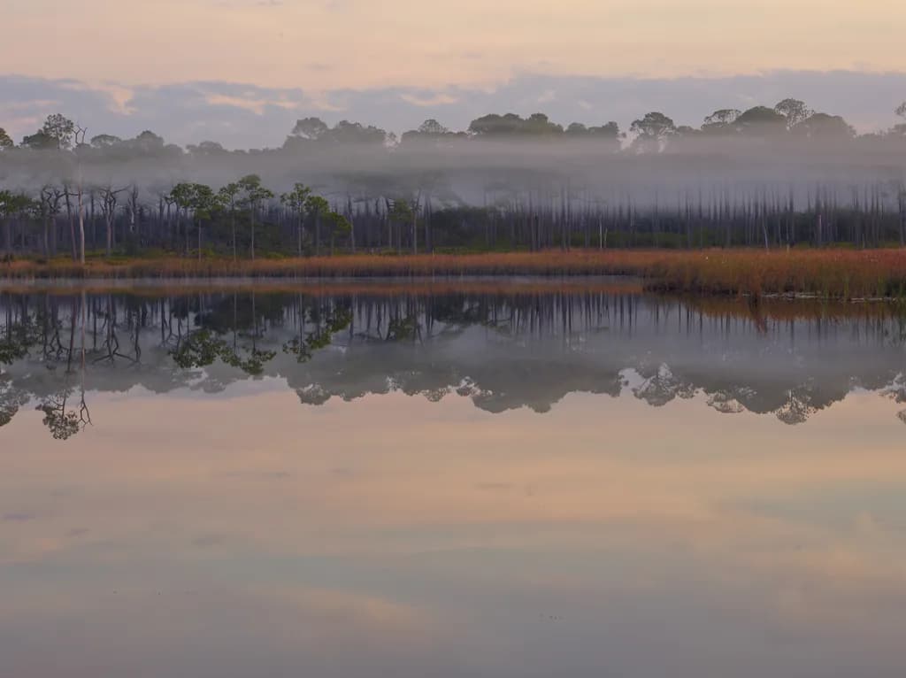Serenity in Mist: A Tranquil Reflection of Nature's Beauty