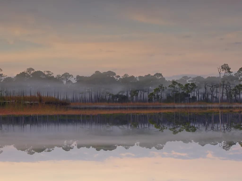 Whispers of Dawn: A Serene Reflection in Misty Waters