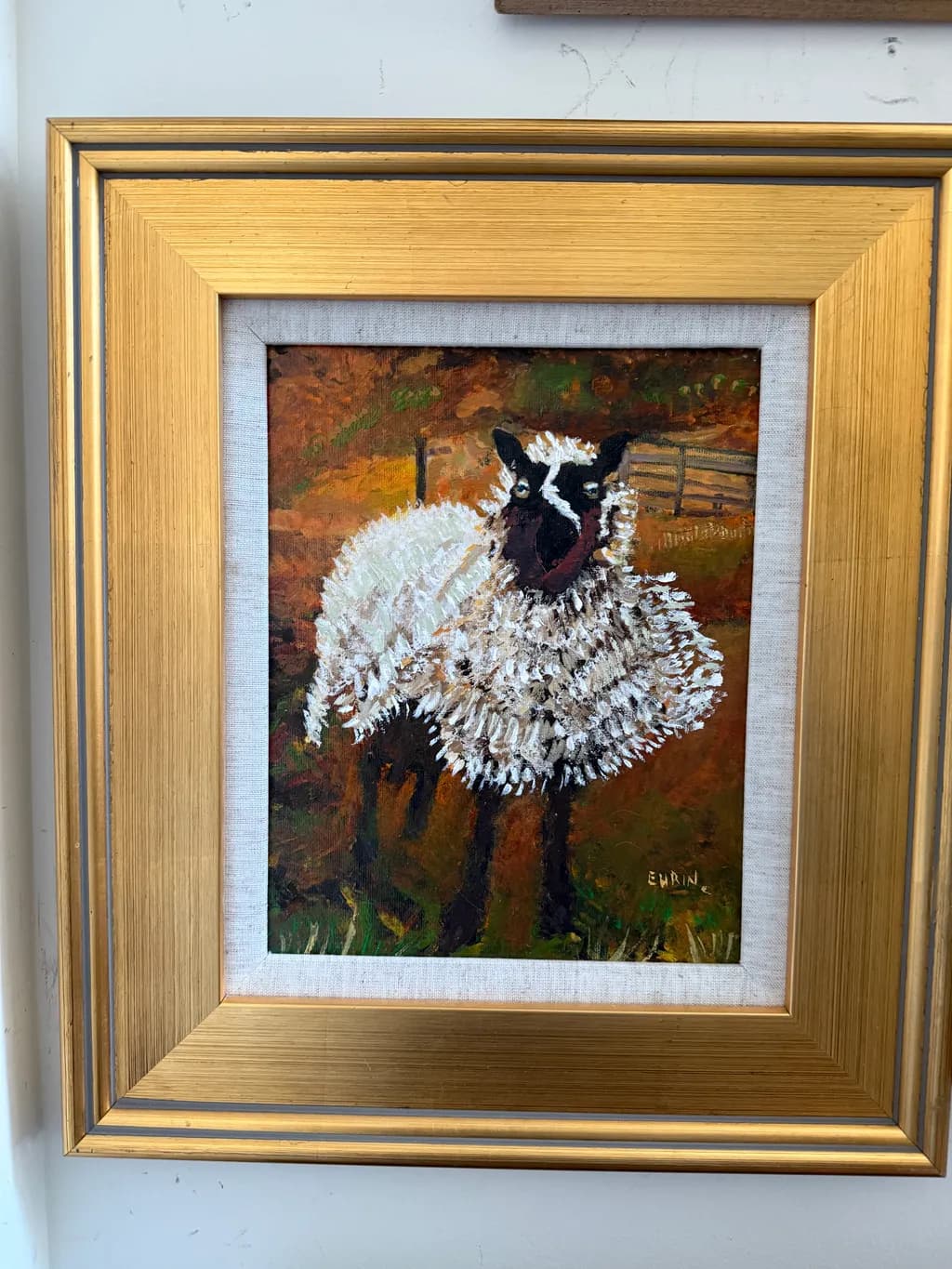 Textured Sheep Portrait