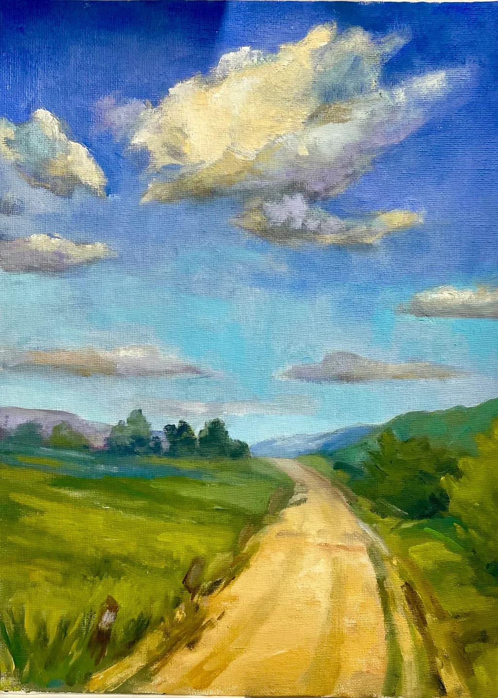 Country Roadscape