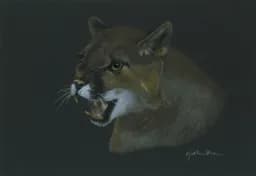 Roaring Panther