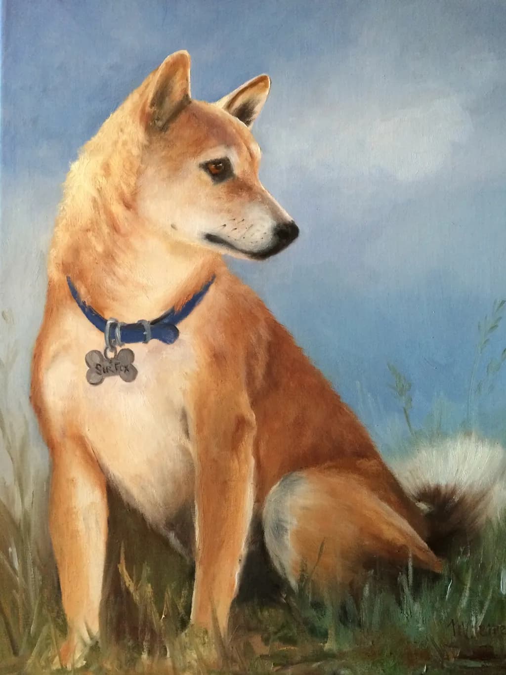 Blue Collar Companion